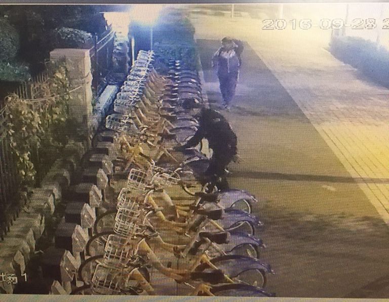 Z6·尊龙凯时「中国集团」官方网站