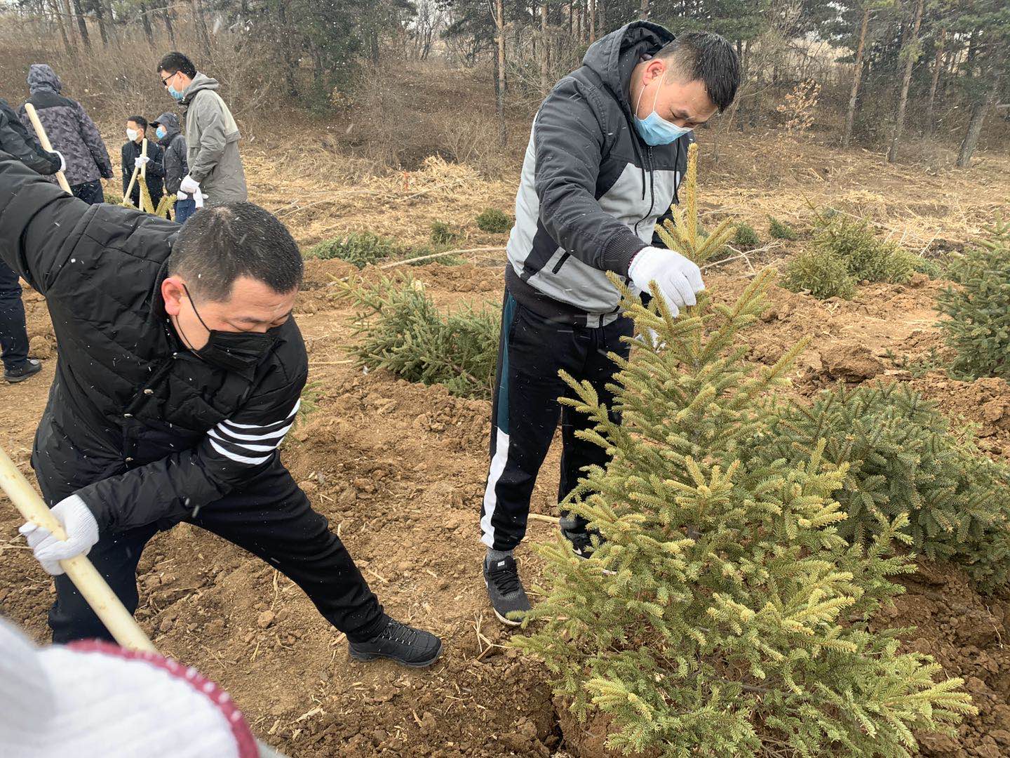 Z6·尊龙凯时「中国集团」官方网站