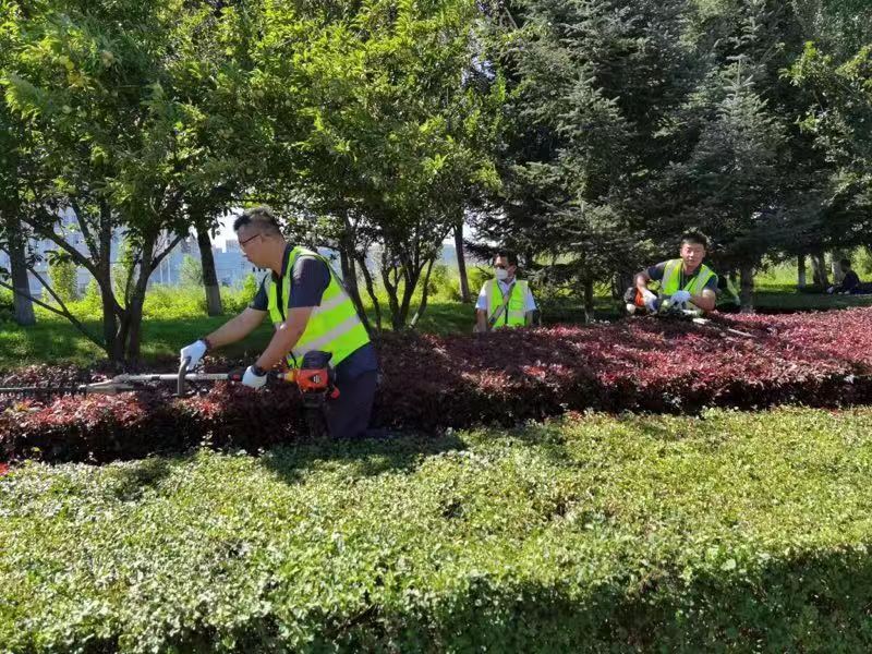 Z6·尊龙凯时「中国集团」官方网站